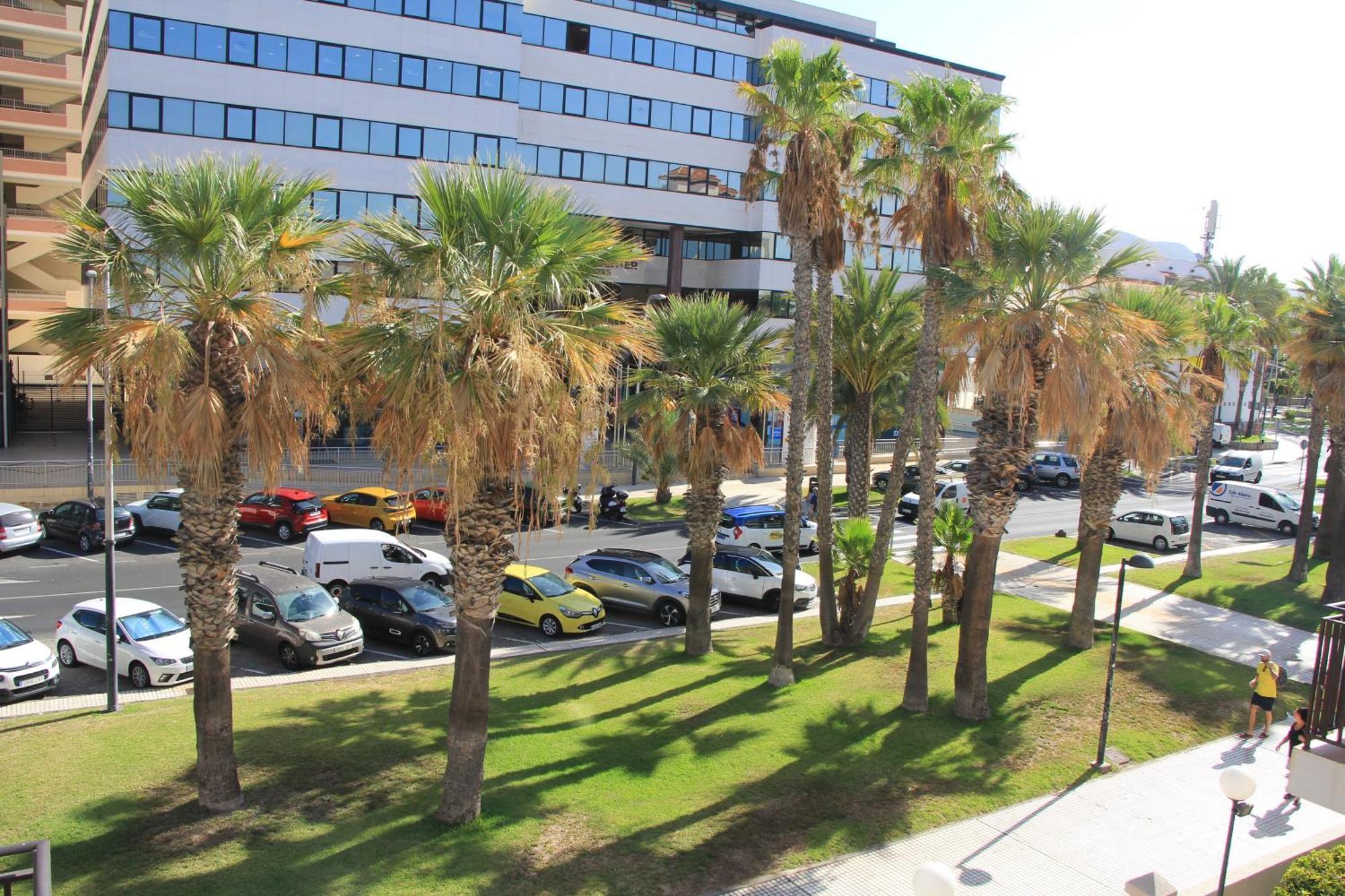 Las Americas - 2 Bedrooms - Flayla-A 阿罗纳 外观 照片